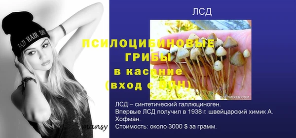 МДПВ Алексеевка