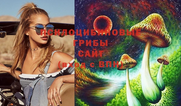 таблы Алексин